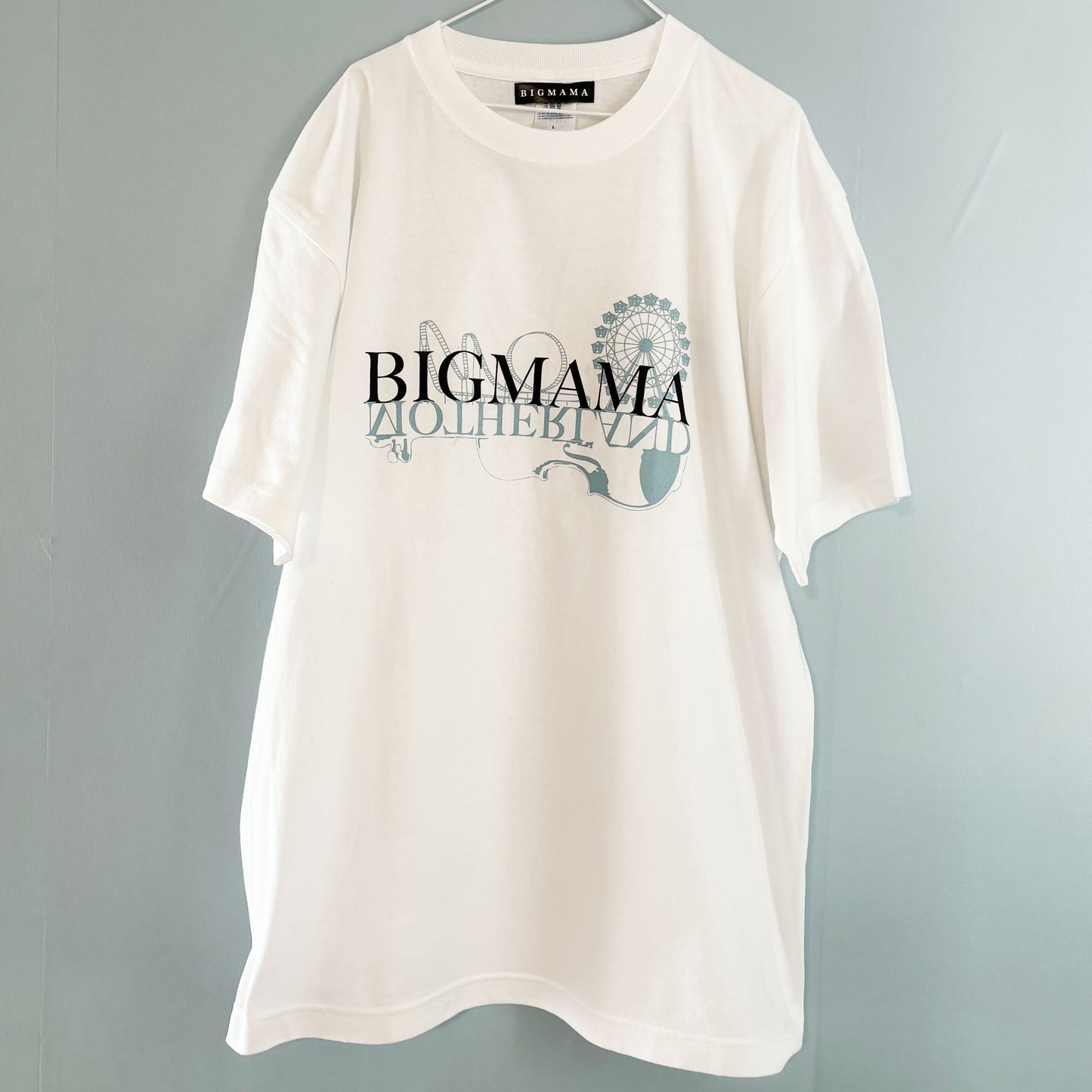 MOTHERLAND T (バイオリン)