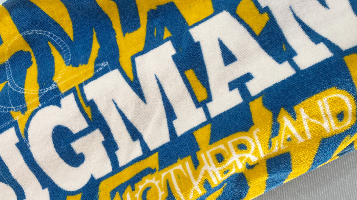 MOTHERLAND タオル 〜 青黄